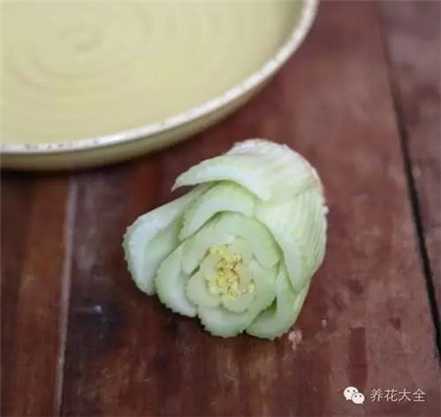 芹菜头切下来