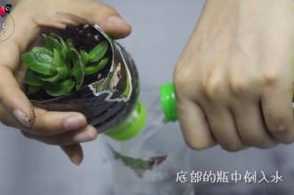 1分钟，塑料瓶变自动吸水花盆！1个月不浇水都没问题！