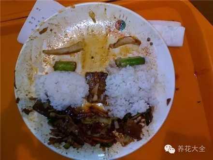施肥：剩菜剩饭最佳