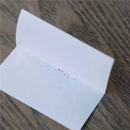 撒种子 撒种子