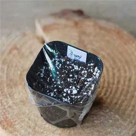 盖上保鲜膜 盖上保鲜膜
