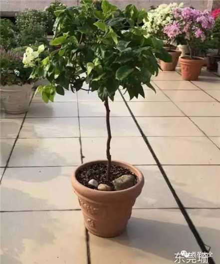 留4去2 留4去2