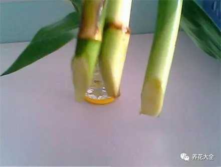 底部斜切 底部斜切