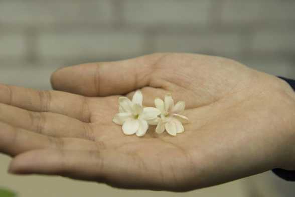这些花不仅颜值高,而且还能帮你美容养颜 这些花不仅颜值高,而且还能帮你美容养颜