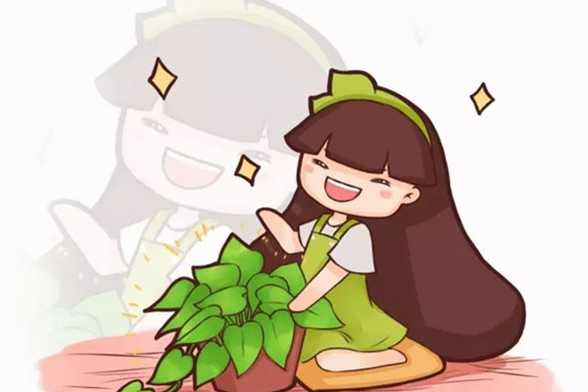 养绿萝的看过来,这样养,才能疯长不发黄 养绿萝的看过来,这样养,才能疯长不发黄