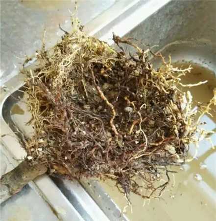 清理