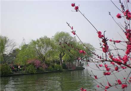 竹外桃花三两枝,春江水暖鸭先知。 竹外桃花三两枝,春江水暖鸭先知。