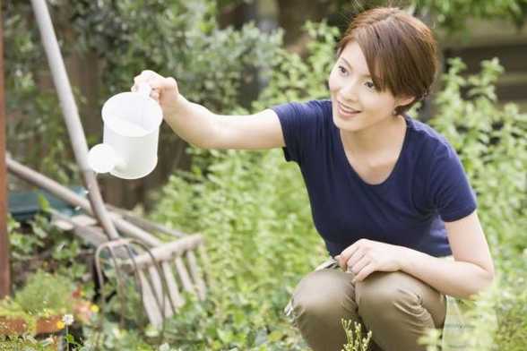 植物什么时候浇水最好 植物什么时候浇水最好