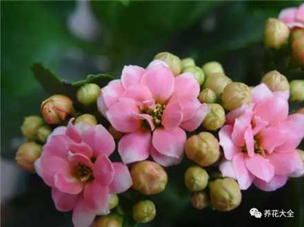 保持温度 保持温度