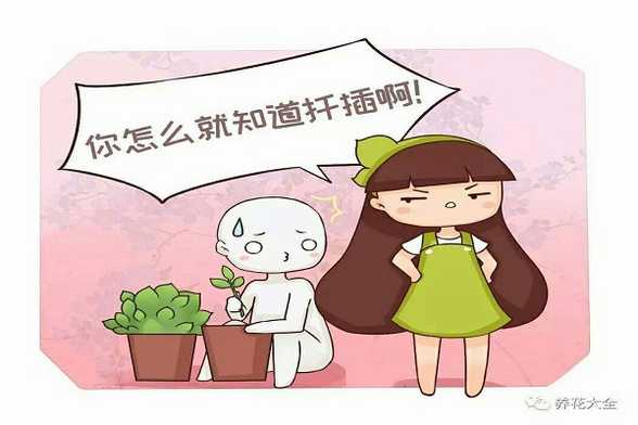 今天告诉你,她把1盆变100盆的诀窍,竟这么简单! 今天告诉你,她把1盆变100盆的诀窍,竟这么简单!