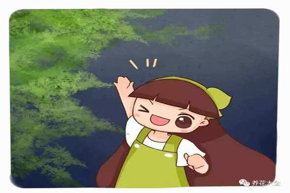 他养的文竹成精了,叶子从来不发黄,爬满天花板都不是事! 他养的文竹成精了,叶子从来不发黄,爬满天花板都不是事!