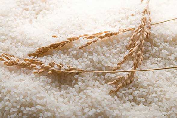 淘米水到底怎么浇花? 淘米水到底怎么浇花?