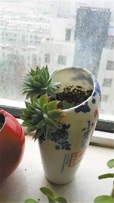 酒瓶 酒瓶