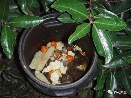 材料准备 材料准备