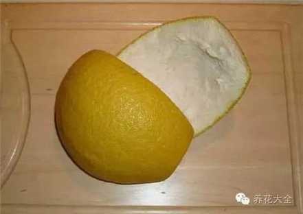 第一:除臭 第一:除臭