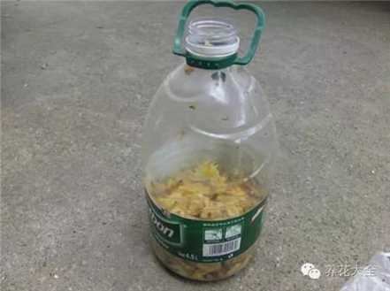 果皮+红糖装入桶中加上水 果皮+红糖装入桶中加上水