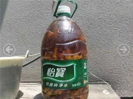 发酵3个月 发酵3个月