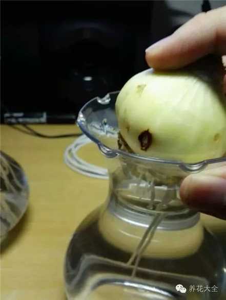 换水处理