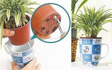 用棉线制作自动浇水器 用棉线制作自动浇水器