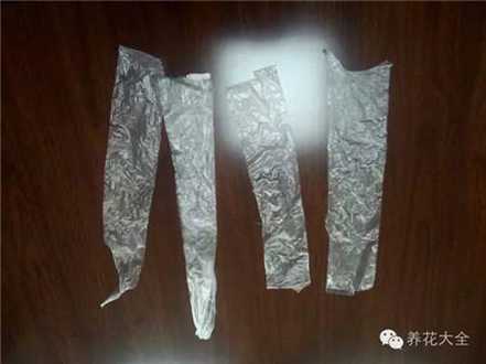 做嫁接压条和短截的捆绑材料 做嫁接压条和短截的捆绑材料