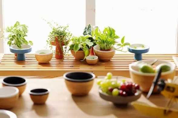 养花的9大误区,不要再“摧残”你家的植物了! 养花的9大误区,不要再“摧残”你家的植物了!