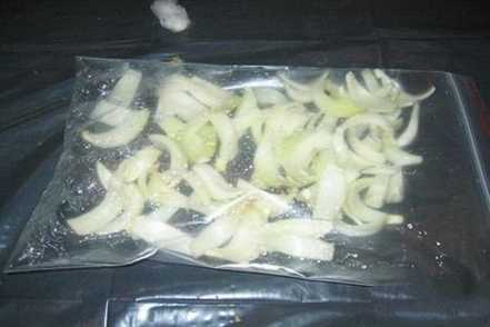 朱顶红的双鳞片繁殖