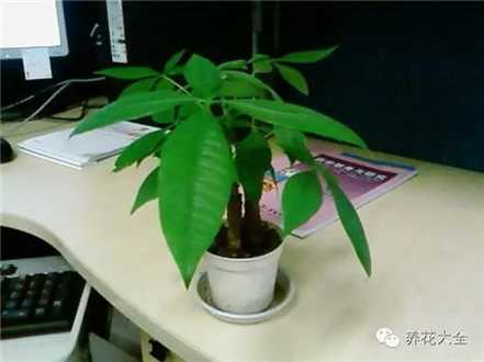 忌讳 忌讳