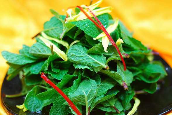 18种野菜治18种病 18种野菜治18种病