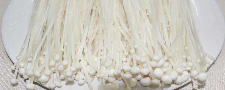 金针菇根部怎么再发芽(再次生长小妙招) 金针菇根部怎么再发芽(再次生长小妙招)