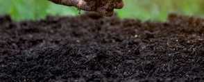 酸性土壤怎么制作，适合种什么花