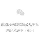 月季花和玫瑰花的区别在哪里