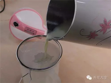养生汤